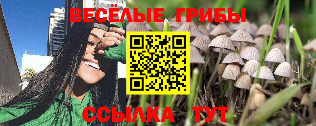 Галлюциногенные грибы Cubensis Котлас